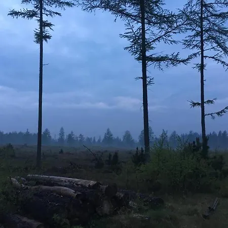 Log-house Wildernest