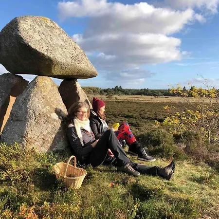 Log-house Wildernest Feriehus