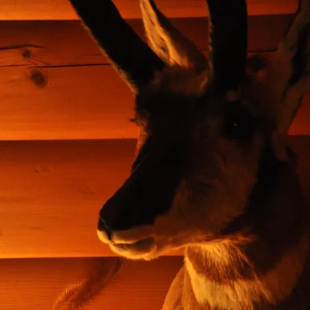 Log-house Wildernest Feriehus *