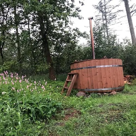 Feriehus Log-house Wildernest