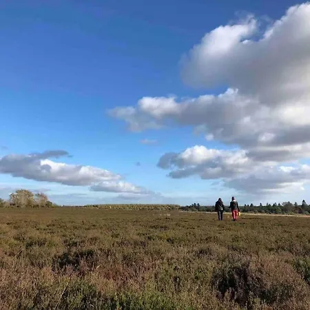 Log-house Wildernest *