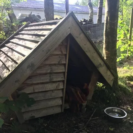 Log-house Wildernest Brande