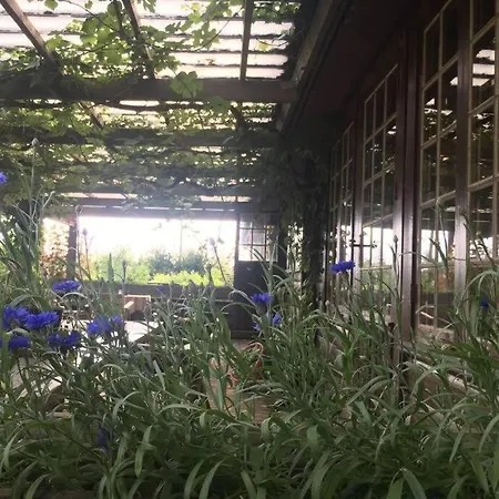 Log-house Wildernest Feriehus