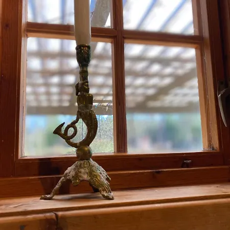 Feriehus Log-house Wildernest