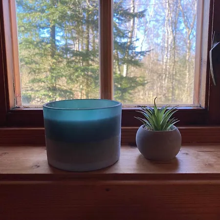 Log-house Wildernest * Brande