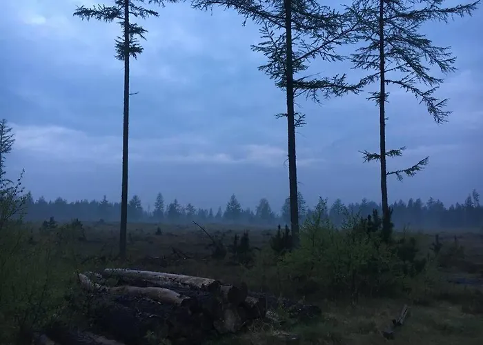 Log-house Wildernest