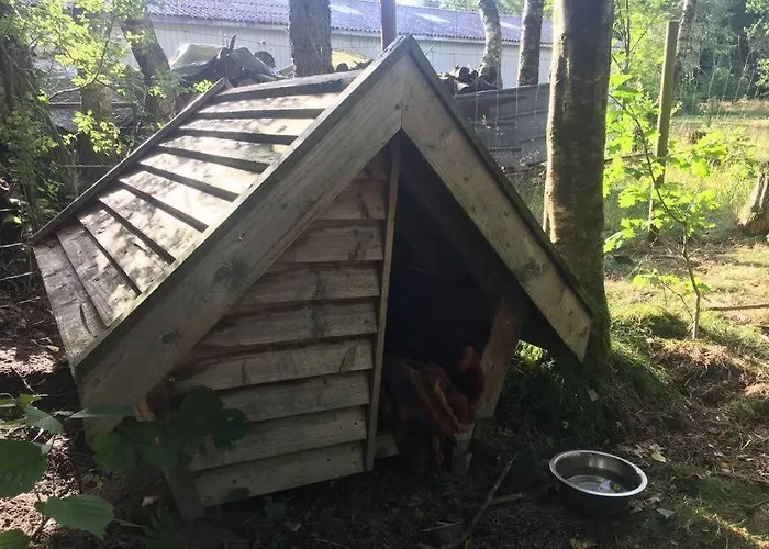 Log-house Wildernest Бранне