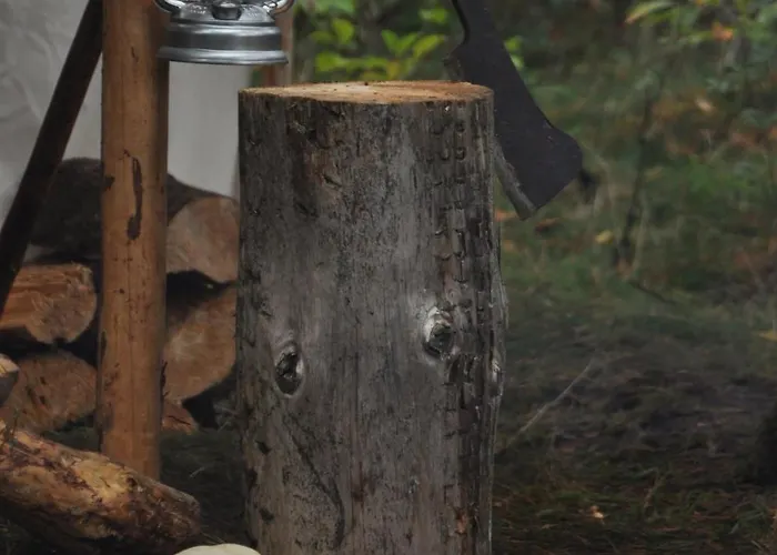 Log-house Wildernest Дом отдыха
